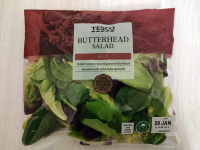 Butterhead salad